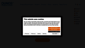 What Dungs.com website looked like in 2022 (1 year ago)