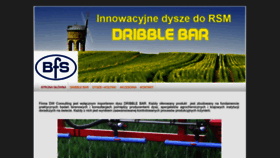 What Dribblebar.pl website looked like in 2022 (1 year ago)