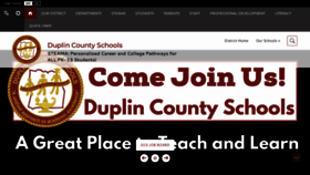 What Duplinschools.net website looked like in 2022 (1 year ago)