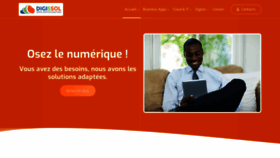 What Digissol.com website looked like in 2022 (2 years ago)