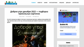 What Drasler.ru website looked like in 2022 (1 year ago)