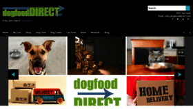 What Dogfooddirect.com website looked like in 2022 (1 year ago)