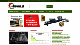 What Drewno.pl website looked like in 2022 (1 year ago)