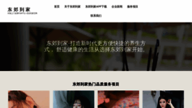 What Dongjiaospa.vip website looked like in 2023 (1 year ago)