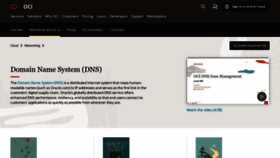What Dyndns.info website looked like in 2023 (1 year ago)