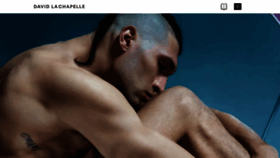 What Davidlachapelle.com website looked like in 2023 (1 year ago)