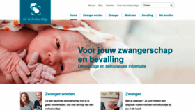 What Deverloskundige.nl website looked like in 2023 (1 year ago)