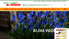 What Deoosteinde.nl website looked like in 2023 (1 year ago)