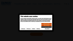 What Dungs.com website looked like in 2023 (1 year ago)