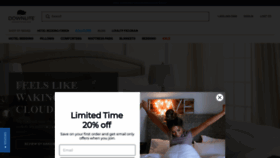 What Downlitebedding.com website looked like in 2023 (2 years ago)