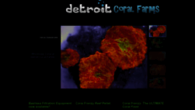 What Detroitcoralfarms.com website looked like in 2023 (1 year ago)