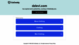 What Dzlevi.com website looked like in 2023 (1 year ago)