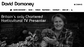 What Daviddomoney.com website looked like in 2023 (1 year ago)