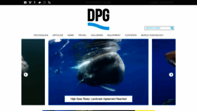 What Divephotoguide.com website looked like in 2023 (1 year ago)