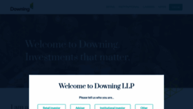 What Downing.co.uk website looked like in 2023 (1 year ago)