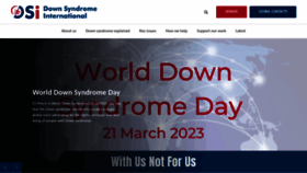 What Ds-int.org website looked like in 2023 (1 year ago)