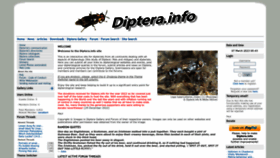 What Diptera.info website looked like in 2023 (1 year ago)