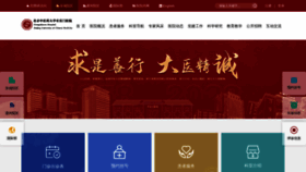 What Dzmyy.com.cn website looked like in 2023 (1 year ago)