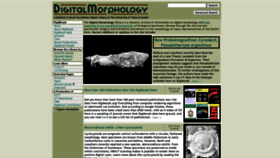 What Digimorph.org website looked like in 2023 (2 years ago)