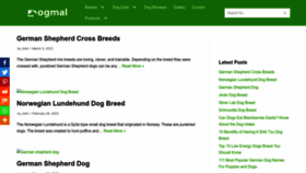 What Dogmal.com website looked like in 2023 (1 year ago)