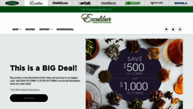 What Drying123.com website looked like in 2023 (2 years ago)