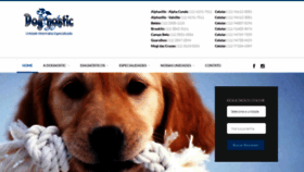 What Dognostic.com.br website looked like in 2023 (1 year ago)