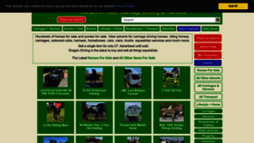What Dragondriving.co.uk website looked like in 2023 (This year)