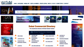 What Dcciinfo.ae website looked like in 2023 (This year)