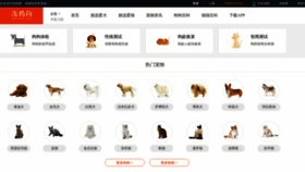 What Dog126.com website looked like in 2023 (This year)