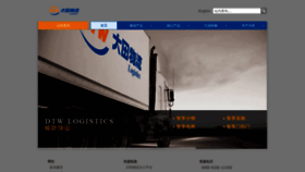 What Dtw.com.cn website looked like in 2023 (This year)