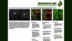 What Downsizer.net website looked like in 2023 (This year)