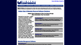 What Digitalconfidence.com website looked like in 2023 (This year)