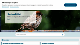 What Dipta.cat website looked like in 2023 (This year)
