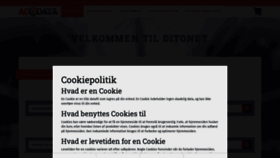What Ditonet.dk website looked like in 2023 (This year)