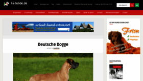 What Doggen-in-flagranti.de website looked like in 2023 (This year)