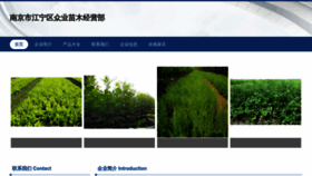 What Dhzhongye.com website looked like in 2023 (This year)