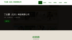 What Dingzuonline.com website looked like in 2023 (This year)