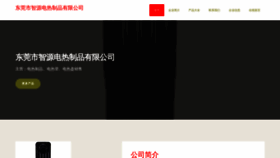 What Dgzycheng.com website looked like in 2023 (This year)
