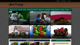 What Daa4a.ru website looked like in 2023 (1 year ago)