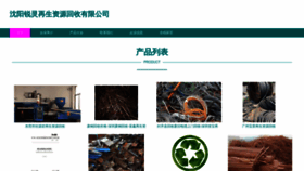 What Dx-recycling.com website looked like in 2023 (This year)
