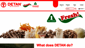 What Detan-one.com website looked like in 2023 (This year)