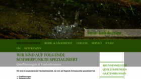 What Derbrunnenmeister.com website looked like in 2023 (This year)
