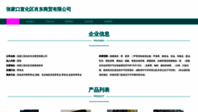What Ddengxiaodong.com website looked like in 2023 (This year)