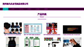 What Dwlchina.com website looked like in 2023 (This year)