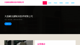 What Dllengzhiyuan.com website looked like in 2023 (This year)