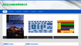 What Dayunnian.com website looked like in 2023 (This year)