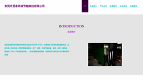 What Dgmicheng.com website looked like in 2023 (This year)