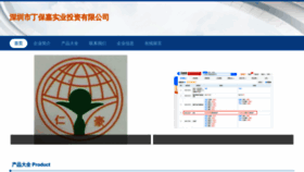 What Dingbaojia.com website looked like in 2023 (This year)