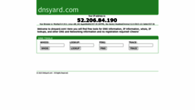 What Dnsyard.com website looked like in 2023 (This year)