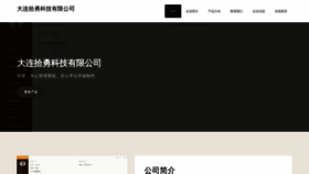 What Dlshiyongchangge.top website looked like in 2023 (This year)